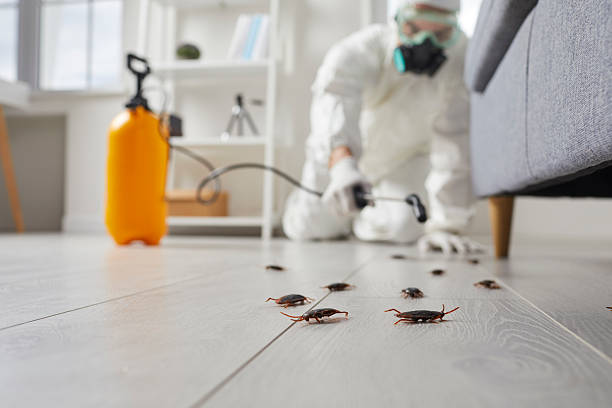 Commercial Kitchen Cockroach Control in Lake City